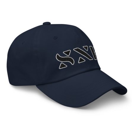 SXE #02 - 3D Puff Dad Cap - Image 6